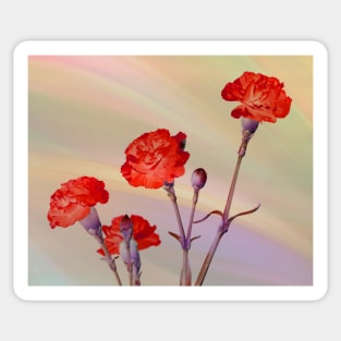 Red Carnations Sticker